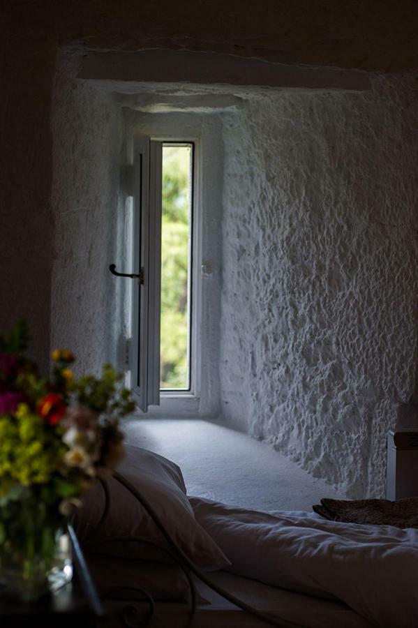 Oldcastle Ross Castle B&B מראה חיצוני תמונה
