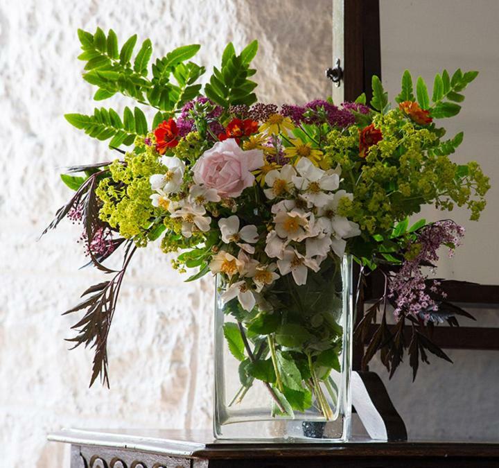 Oldcastle Ross Castle B&B מראה חיצוני תמונה