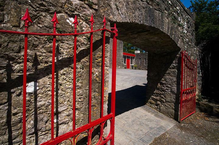 Oldcastle Ross Castle B&B מראה חיצוני תמונה