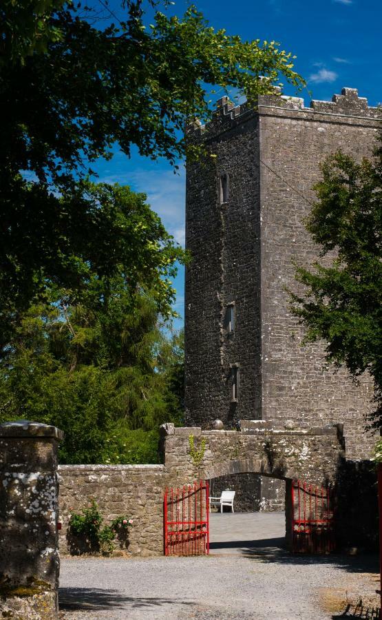 Oldcastle Ross Castle B&B מראה חיצוני תמונה